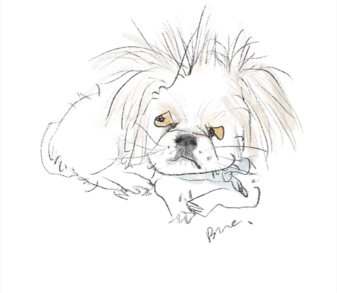 Messy Abstract Pet Portraits | Custom Pet Drawings in a Fun and Whimsical Style