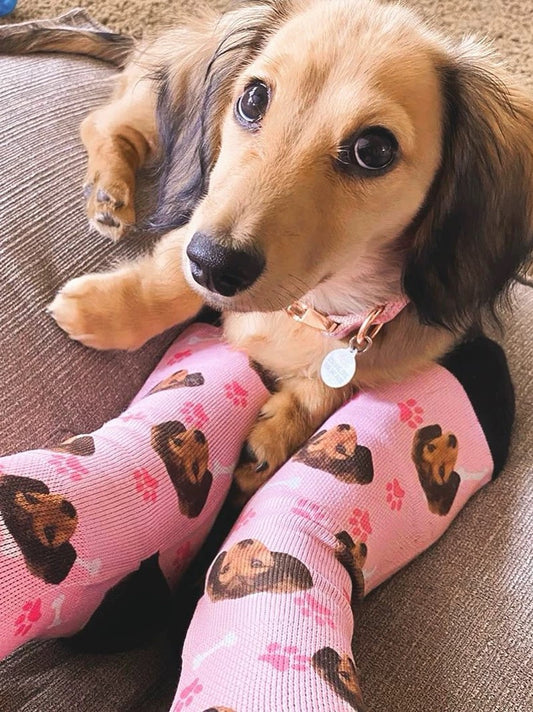 custom pet socks, DIY socks - Print your pet on socks