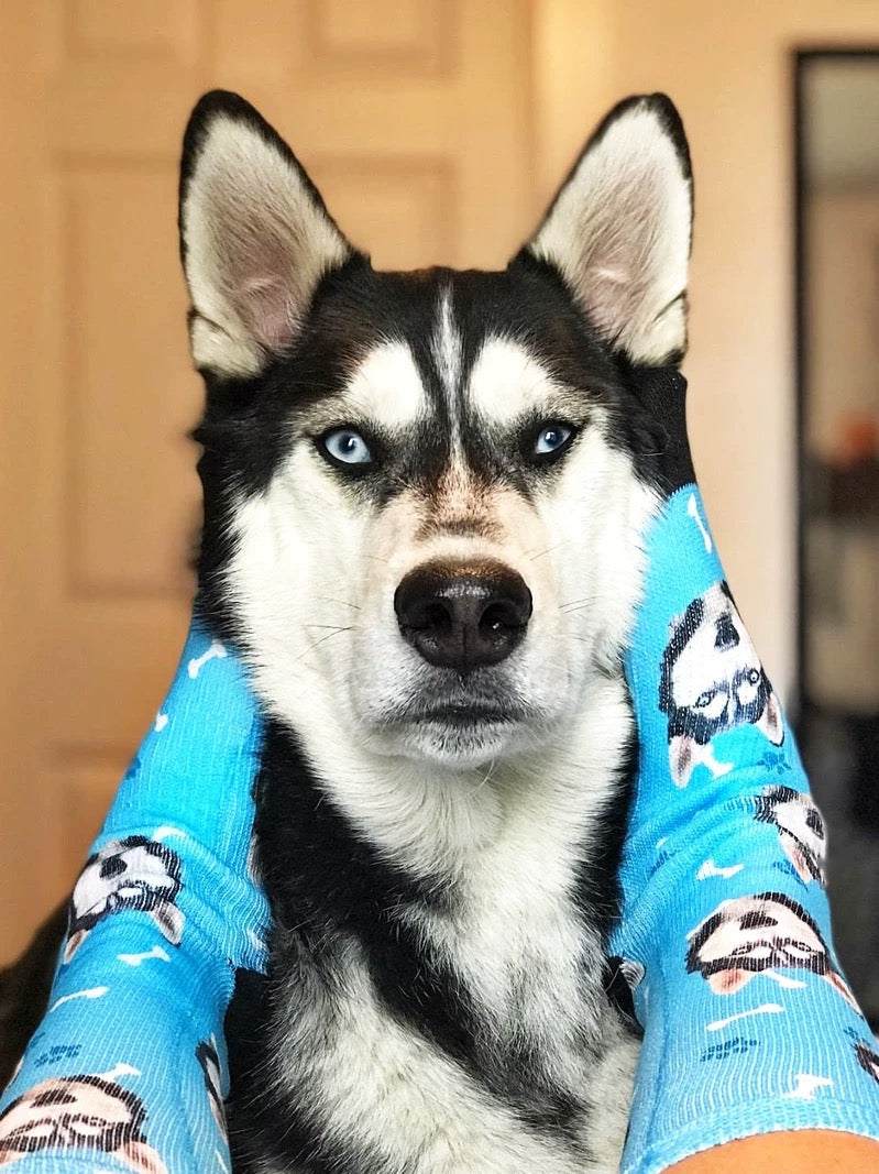 custom pet socks, DIY socks - Print your pet on socks